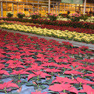 DSC_0015.JPG
