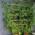 Th__ringen Domig G  _4_.JPG