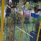 Th__ringen Ebner G  _6_.JPG