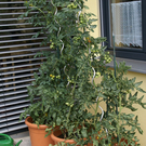 Th__ringen Ebner G  _7_.JPG