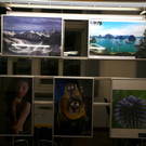 IMG_7627.JPG