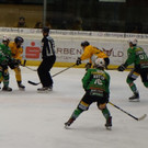 DSC05564.JPG