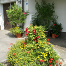 Th__ringen Tschann G  _6_.JPG