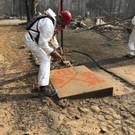 Northern_California_Wildfire_85883.jpg