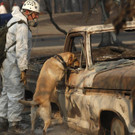 Northern_California_Wildfire_29198.jpg