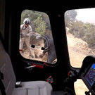 Southern_California_Wildfire_Rescue_56095.jpg