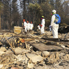 Northern_California_Wildfire_33831.jpg