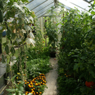 Th__ringen Walter G  _4_.JPG