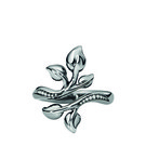 Ringe_3.jpg