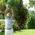 Th__ringen Walter G  _6_.JPG