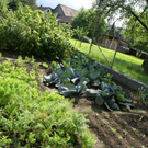 Th__ringen Walter G  _7_.JPG