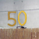 1362332.jpg