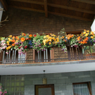 Th__ringerberg Nigsch G  _2_.JPG