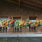 Th__ringerberg Nigsch G  _3_.JPG