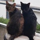 Laya und Luigi Neu.jpg