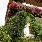 Th__ringerberg Nigsch G  _9_.JPG