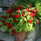 Flora-Juryreise 2009 - Donnerstag, 13. August