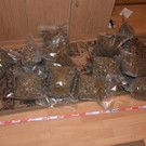 9,5 Kilogramm Marihuana in Wien sichergestellt