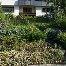 Bizau Angerer G  _6_.JPG