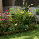 Bizau Erath G  _4_.JPG