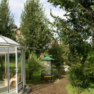 Doren GH Rose G  _6_.JPG