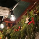 IMG_7935.JPG