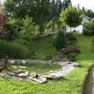 Doren GH Rose G  _8_.JPG