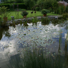 Dornbirn Berchtold G .JPG