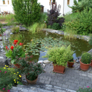 Dornbirn Berchtold G  _3_.JPG