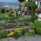 Dornbirn Moser G .JPG