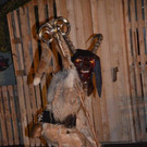 Krampusshow Braz 2018 _14_.jpg
