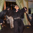 Krampusshow Braz 2018 _205_.jpg