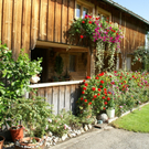 Egg Moosbrugger G .JPG