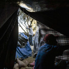 AFP_1B495P.jpg
