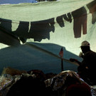 Central_America_Migrant_Caravan_35407.jpg