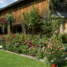 Egg Moosbrugger G  _2_.JPG