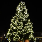 Lichter8 Egger.jpg