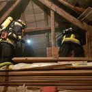 20181127_061057 _2000x1500_.jpg