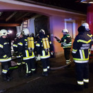 20181127_061302 _2000x1500_.jpg