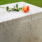 stein mit rose_kis.jpg