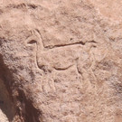 DAB2596-20121009.jpg