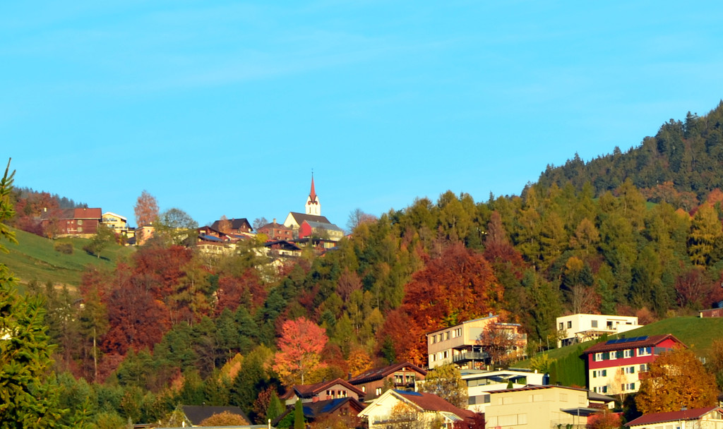 Natur 111118_9.JPG