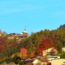 Natur 111118_9.JPG