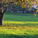 Natur 111118_11.JPG