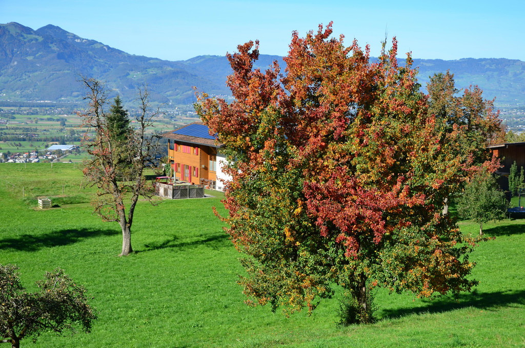 Natur 131018_9.JPG