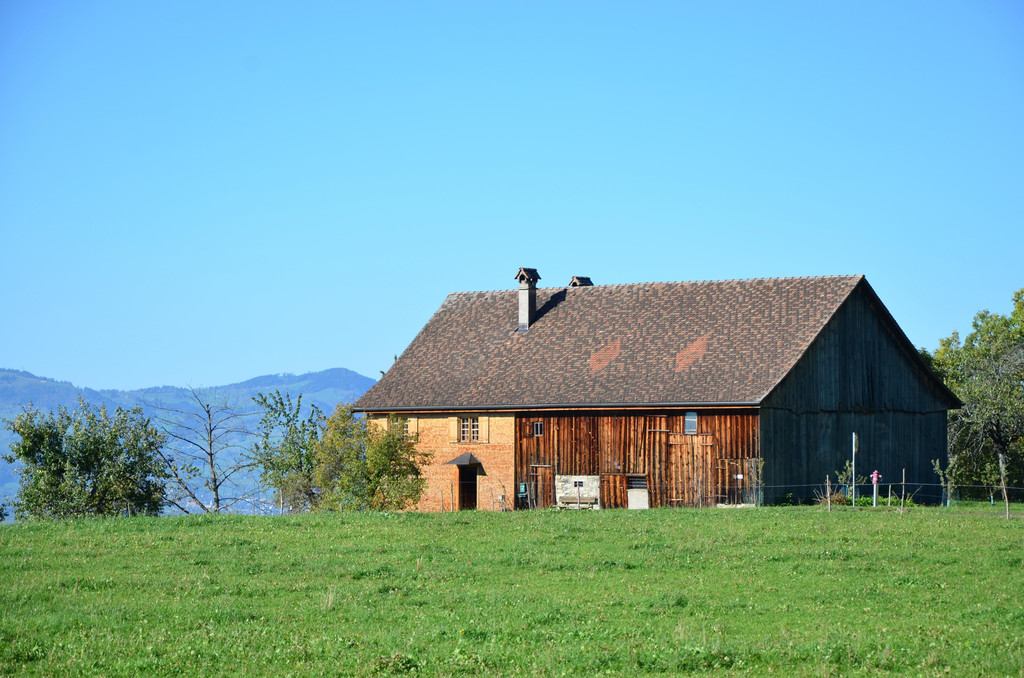 Natur 141018_4.JPG