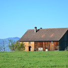 Natur 141018_4.JPG