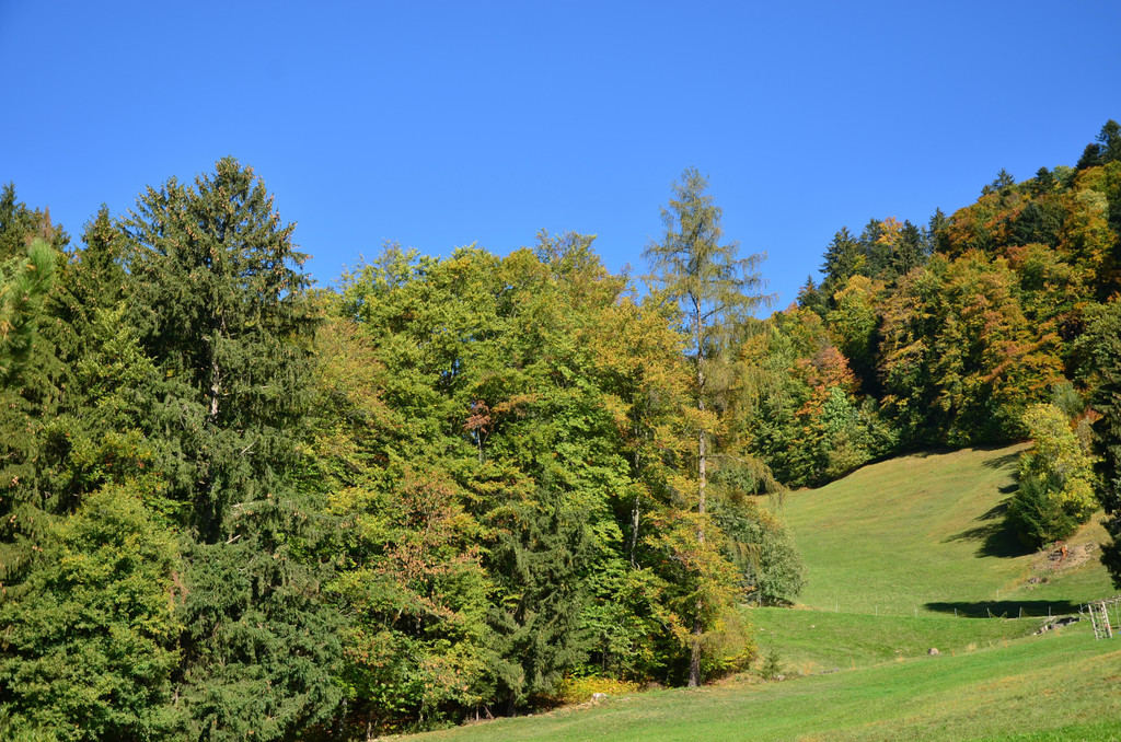 Natur 141018_5.JPG