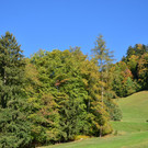 Natur 141018_5.JPG