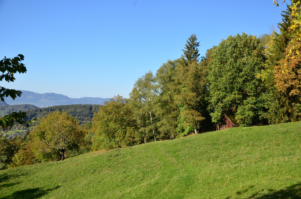 Natur 141018_7.JPG